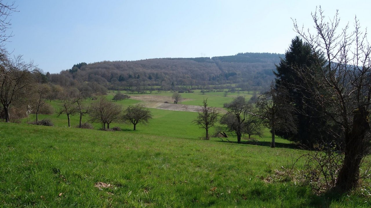 Am Breitenstein in Eberbach bietet sich ein strukturreiches Landschaftsbild mit großer Artenvielfalt