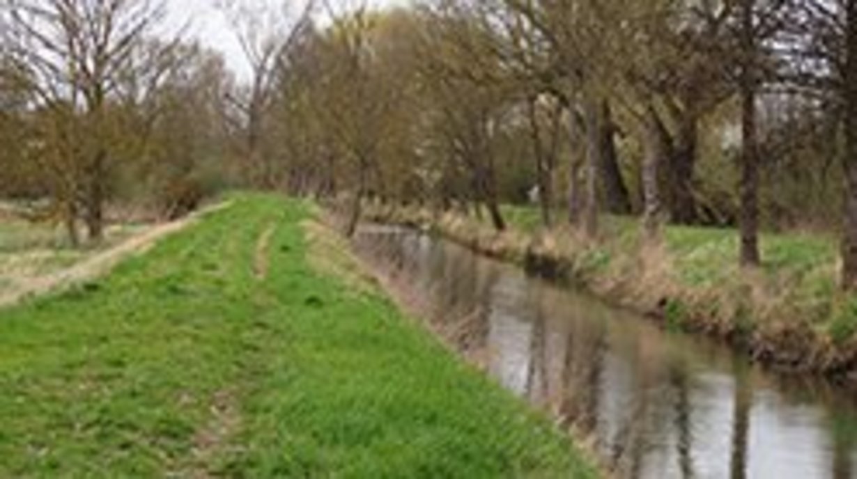Auf dem Bild ist der Kraichbach im Winter zu sehen. Das Ufer geht vom Wasserspiegel aus direkt in Hochwasserdämme über. Am Wasser stehen einzelne Bäume. Hinter den Hochwasserdämmen schließen sich Weidengebüsche an. 