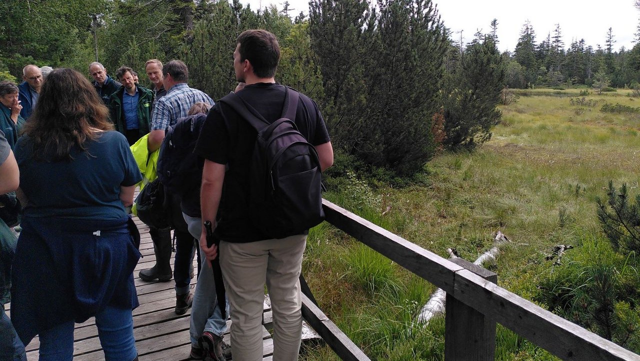 Life MooReKa Exkursionen bieten Informationen zum Hohlohmoor, ein Blick in die Moorstation und die Funktionsweise von Grabensperren wird live erlebt.