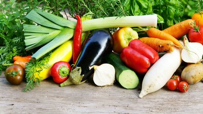 Sommergemüse (Tomaten, Zucchini, Karotten, Lauch, Paprika, Gurken) und Kräuter im Hintergrund