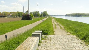 Rheindamm mit unbefestigtem Weg und befestigten Geh- und Radweg Auf dem Bild sieht man rechts den Rhein und links Wiesen und das Hofgut Maxau. Entlang des Rheins sieht man den unbefestigten Weg auf dem Rheindamm (rechts) sowie den befestigten Rad- und Fußweg am Dammfuß (links), mit Fußgänger. In Hintergrund befindet sich das Rheinhafen-Dampfkraftwerk, im Vordergrund einige Sitzgelegenheiten. Mittig, allerdings oben angeschnitten, befindet sich ein Windrad.
