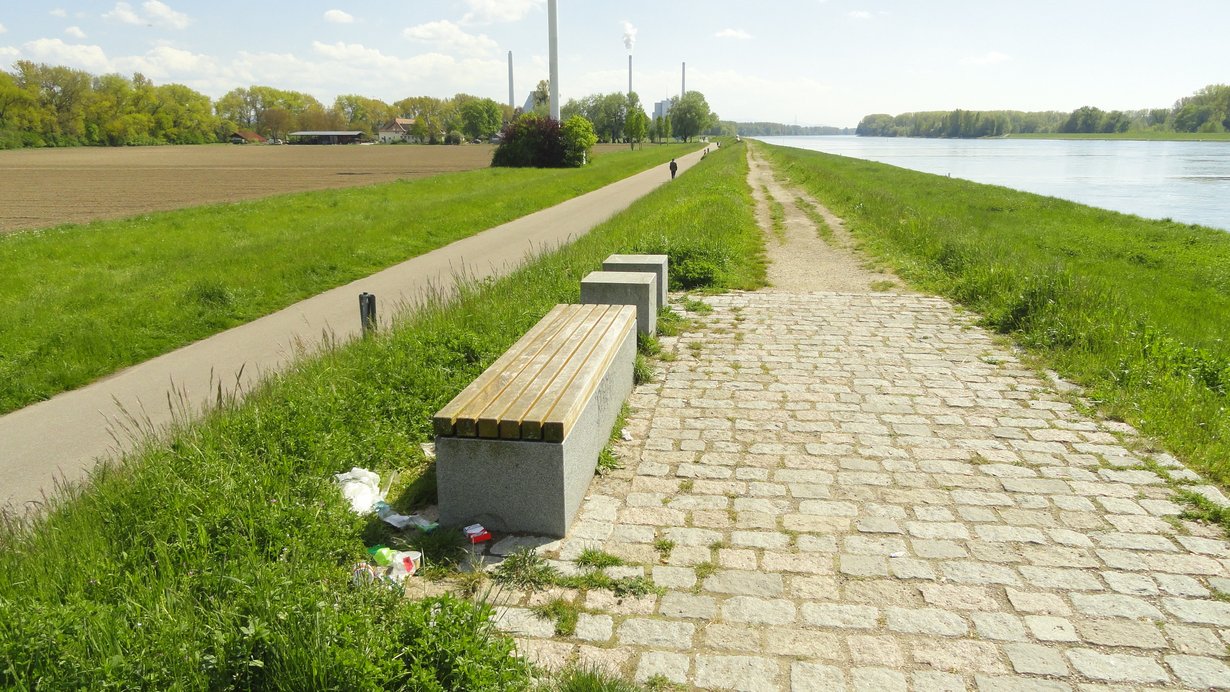 Auf dem Bild sieht man rechts den Rhein und links Wiesen und das Hofgut Maxau. Entlang des Rheins sieht man den unbefestigten Weg auf dem Rheindamm (rechts) sowie den befestigten Rad- und Fußweg am Dammfuß (links), mit Fußgänger. In Hintergrund befindet sich das Rheinhafen-Dampfkraftwerk, im Vordergrund einige Sitzgelegenheiten. Mittig, allerdings oben angeschnitten, befindet sich ein Windrad. 