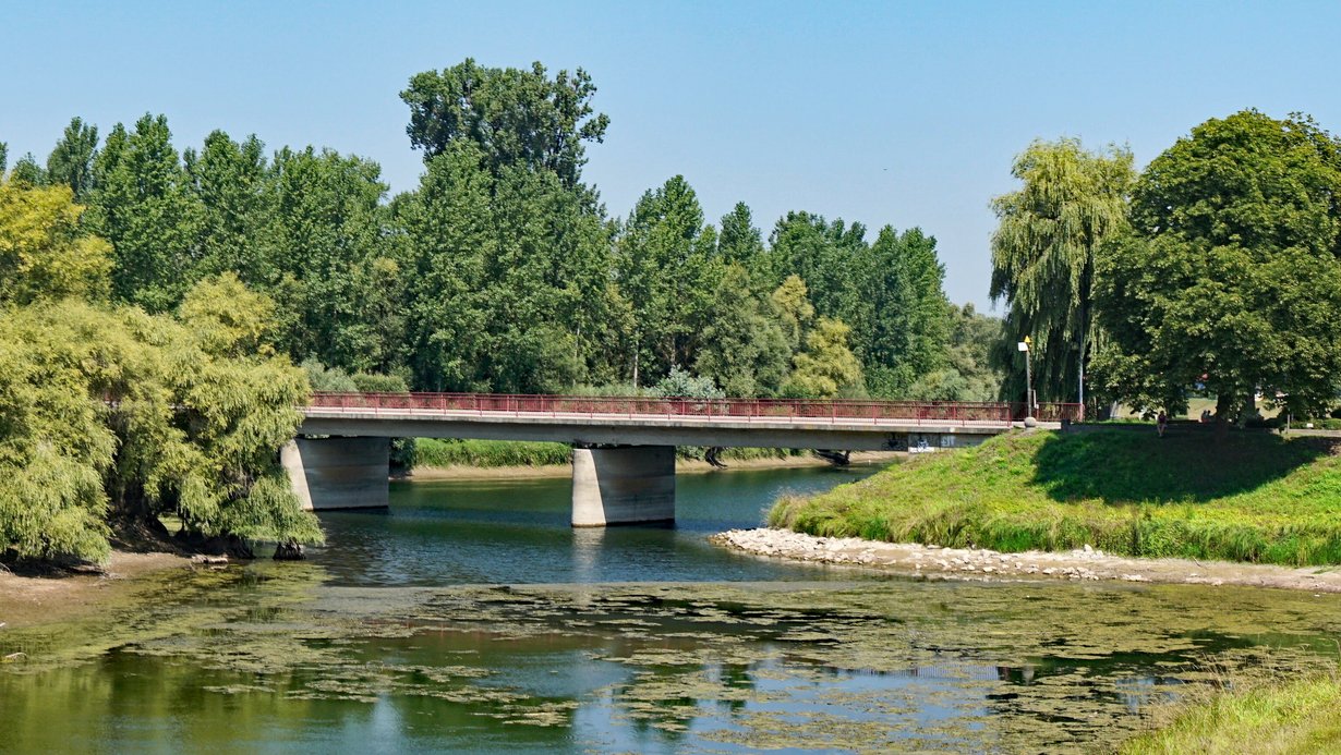 Rheinhochwasserdamm XXIII und die Ankerbrücke bei Rastatt/Plittersdorf
