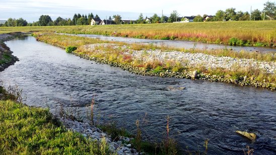 Gewässerökologieprojekt Murg Bischweier-Kuppenheim