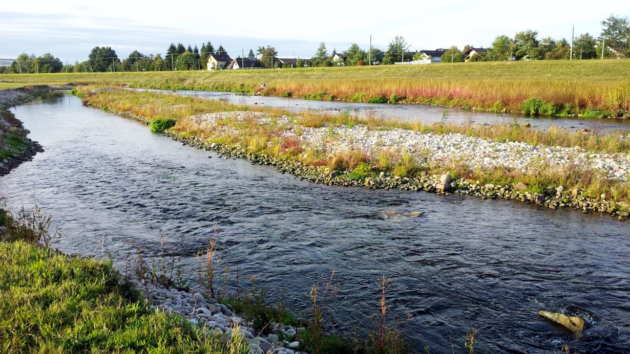 Gewässerökologieprojekt Murg Bischweier-Kuppenheim