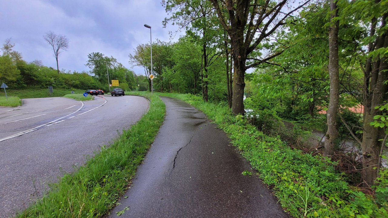 Vorgezogene Rodung an der B 35 