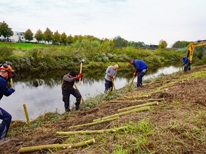 Ufersicherung mit Faschine und Weidenspreitlage durch mehrere Wasserbauarbeiter an einem Ufer