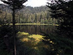 Naturschutzgebiet Schurmsee