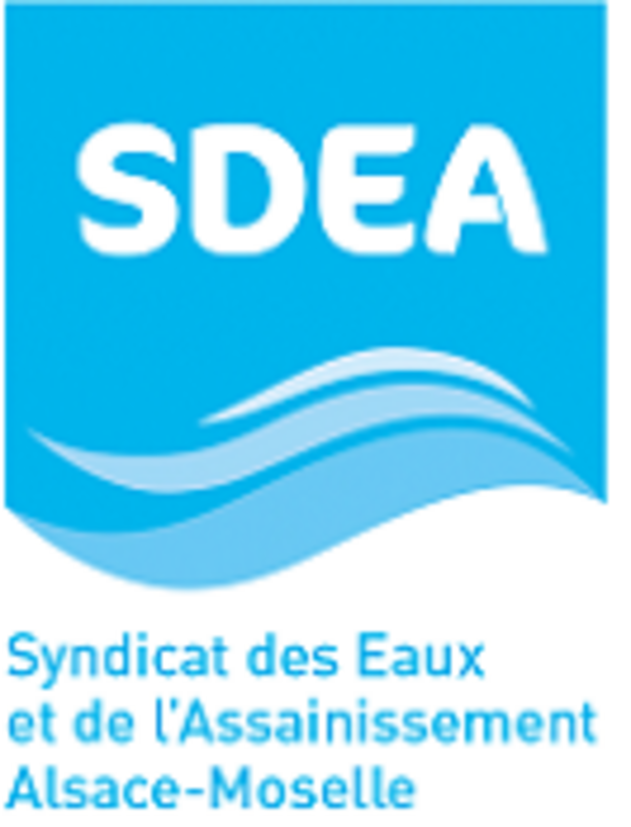 SDEA Auf diesem Bild sehen Sie das Logo von SDEA