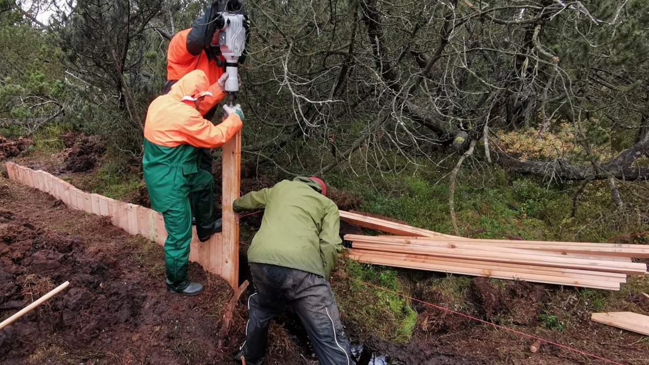 Der Landschaftspflegetrupp der Naturschutzbehörde baute im Oktober/November Grabensperren in Handarbeit