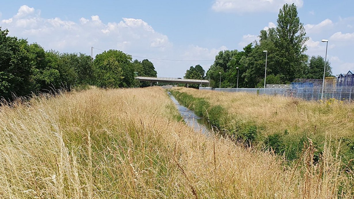 Ein extrem geradliniger und monotoner Gewässerverlauf mit beidseitig verlaufenden Hochwasserschutzdämmen.