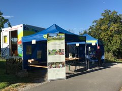 Vor dem Ökomobil stehen zwei Pavillons mit diversen Infomaterialien. Davor steht eine der FÖJlerinnen.