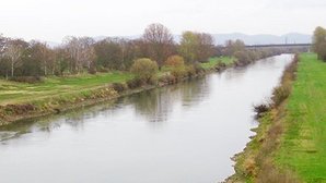 Neckar bei Neuostheim; eintönige geradlinige Uferstruktur