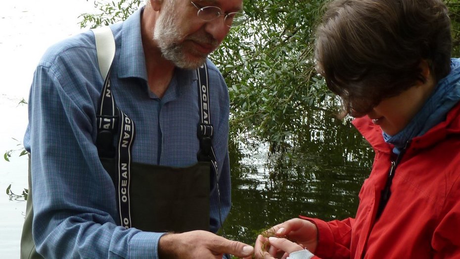 Untersuchungen zu Makrophyten und Phytobenthos am Wintersdorfer Althrein