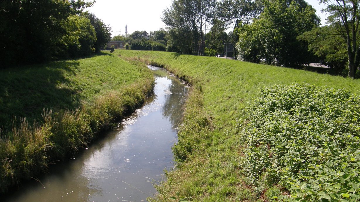 Auf dem Bild sieht man den monotonen und von seitlichen Dammstrukturen eingeengten Leimbach. Die Ufer und Dammbereiche sind mit Gras bewachsen. Auf beiden Seiten sieht man im Anschluss Bäume und Sträucher. Auf der rechten Seite erkennt man im Hintergrund eine Straße mit Straßenschild. In der Ferne sieht man eine Brücke, einen Turm sowie einen Kran.