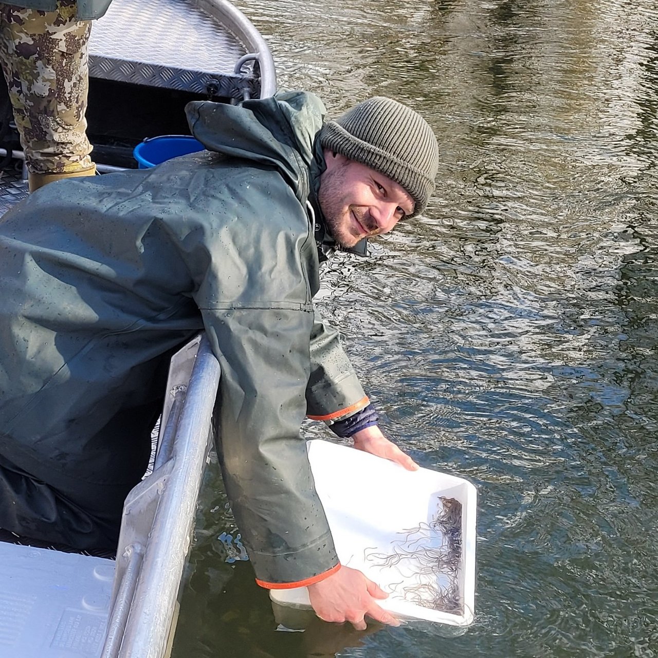 Besatz der Glasaale vom Boot aus