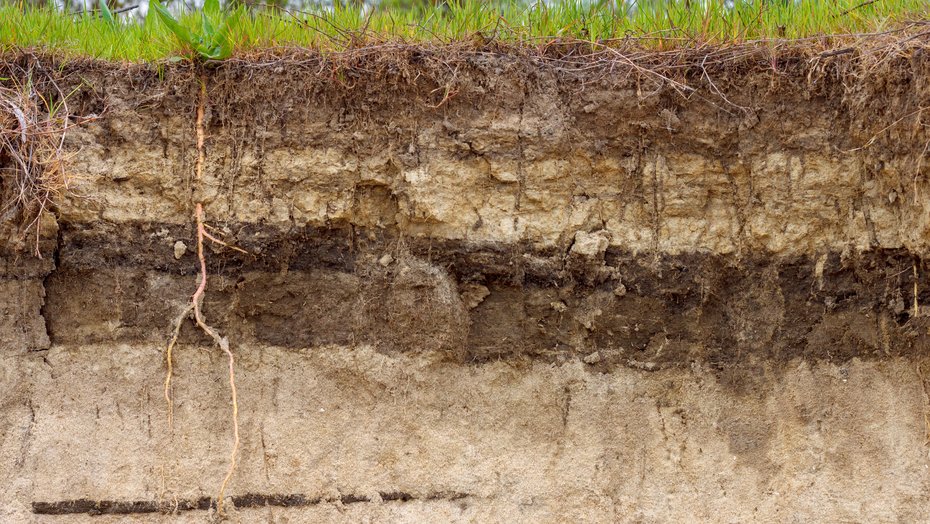 Stratigraphischer Bodenabschnitt Stratigraphischer Bodenabschnitt mit Schichten und Graswurzeln