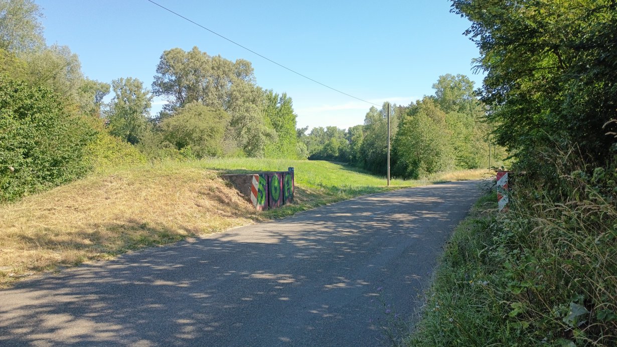 Projektgebiet Rheinhochwasserdamm XXXI, Abschnitt Bahndamm bis B35 bei Rheinsheim (Blickrichtung Norden)