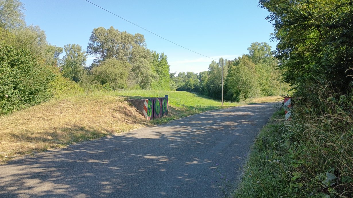 Projektgebiet Rheinhochwasserdamm XXXI, Abschnitt Bahndamm bis B35 bei Rheinsheim (Blickrichtung Norden)