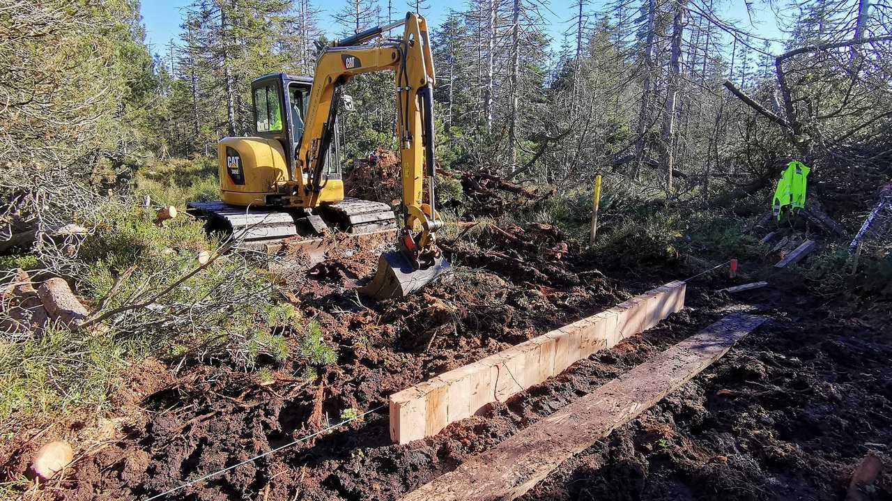 Im Projekt Life MooReKa werden in rund 35 Kilometer Entwässerungsgräben Grabensperren eingebaut. Nur so kann das Niederschlagswasser im Moorverbleiben und das Moor wieder nass werden.