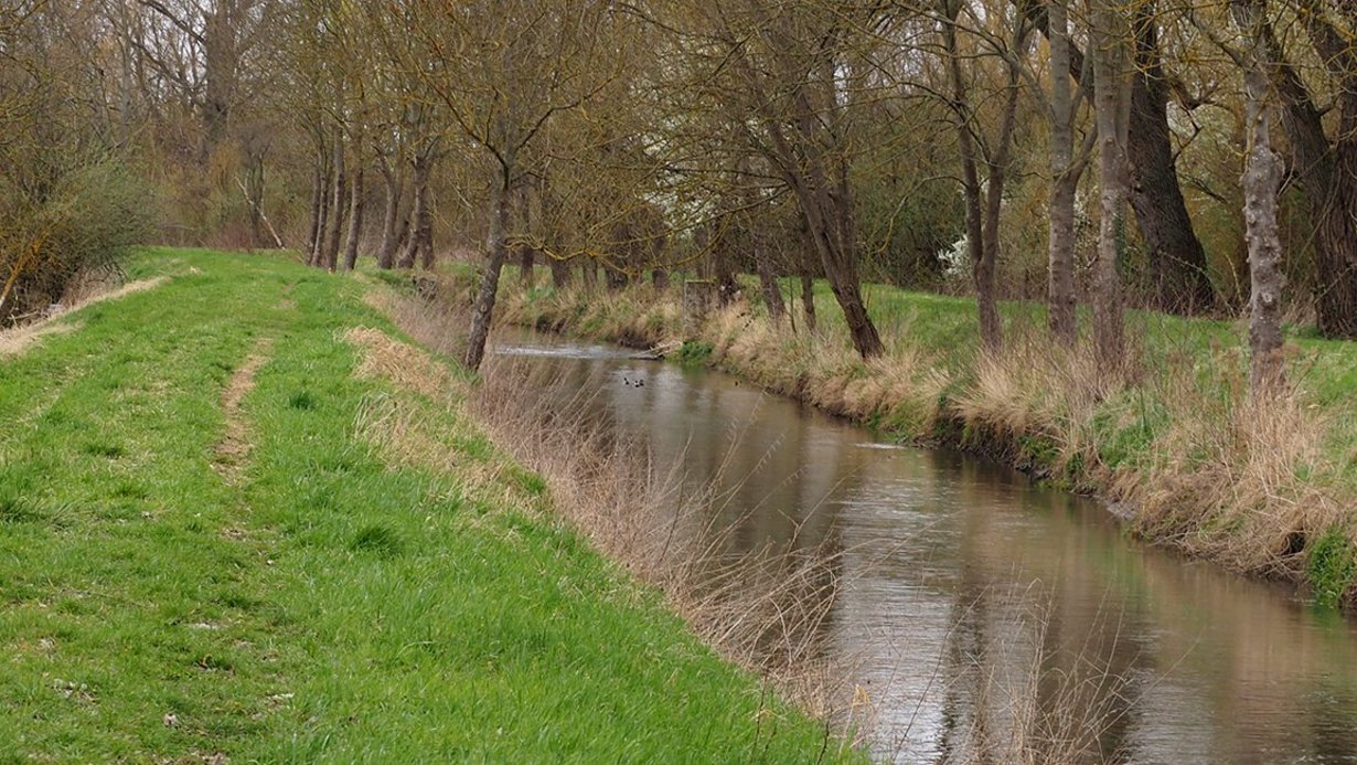 Auf dem Bild ist der Kraichbach im Winter zu sehen. Das Ufer geht vom Wasserspiegel aus direkt in Hochwasserdämme über. Am Wasser stehen einzelne Bäume. Hinter den Hochwasserdämmen schließen sich Weidengebüsche an. 