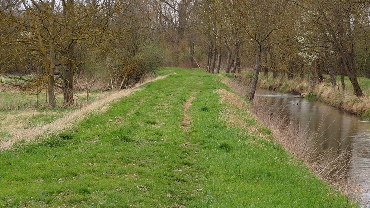 Kraichbach im Winter Auf dem Bild ist der Kraichbach im Winter zu sehen. Das Ufer geht vom Wasserspiegel aus direkt in Hochwasserdämme über. Am Wasser stehen einzelne Bäume. Hinter den Hochwasserdämmen schließen sich Weidengebüsche an.