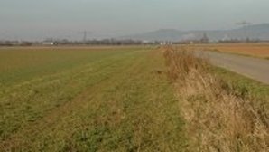 Anlage eines Gras-/Krautstreifens auf ca. 0,7 ha
