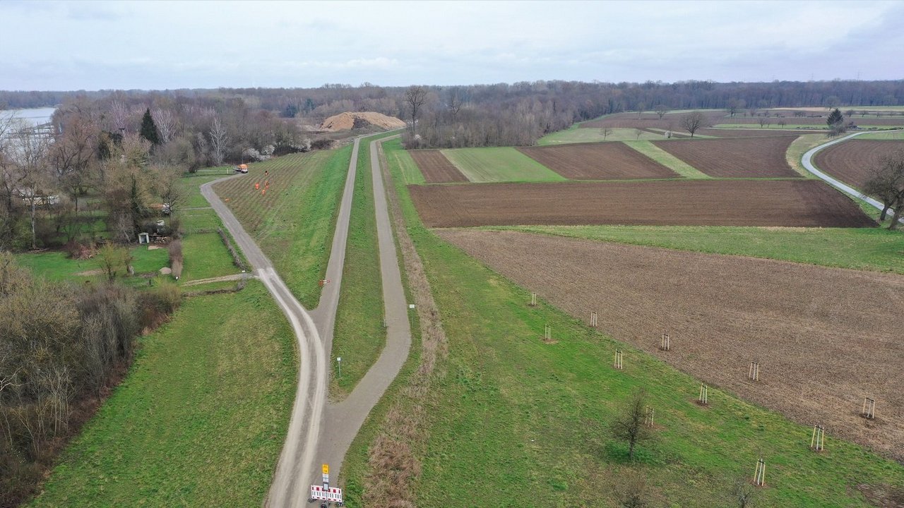 Aufforstungsmaßnahme im Bereich der Dammbegradigung in Steinmauern auf beiden Seite des Dammes