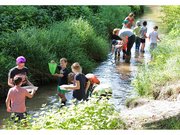 Kinder und Ökomobil-Team befinden sich in einem Bach und suchen mit Kescher und Schalen nach Gewässertieren