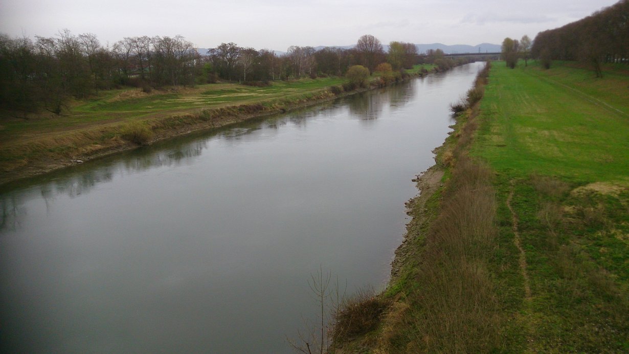 Neckar bei Neuostheim; eintönige geradlinige Uferstruktur