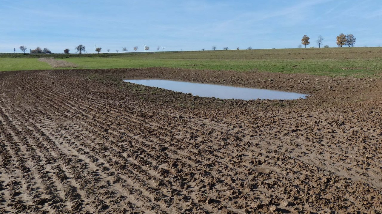 Neu angelegte Blänke im NSG Lappen 