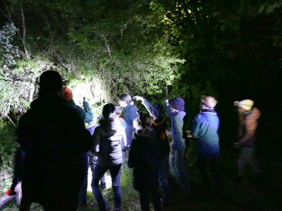 Kinder leuchten mit Taschenlampen ins Gebüsch.