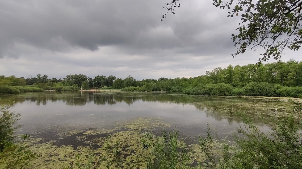 Weingarten Moor Auch im Naturschutzgebiet Weingartener Moor sollen Maßnahmen zum Erhalt des Moores umgesetzt werden.
