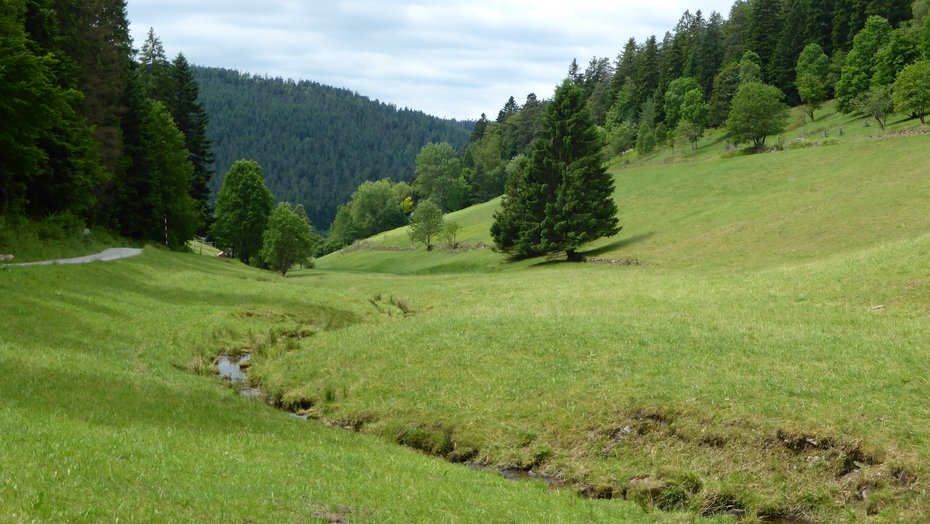 Nördlicher Talschwarzwald