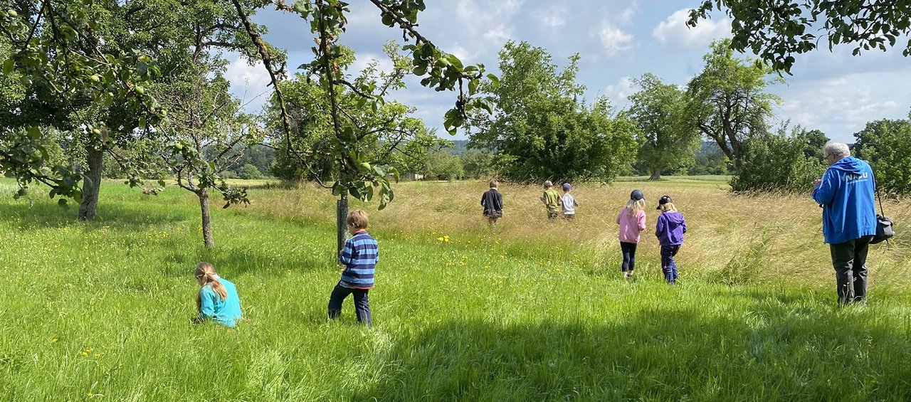 Naturforscher/-innen unterwegs auf einer Wiese
