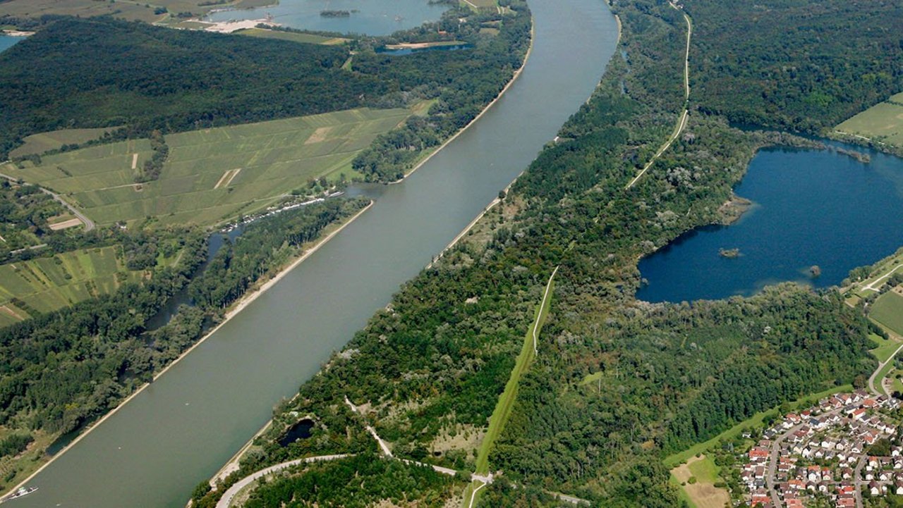 Luftbild vom Polder