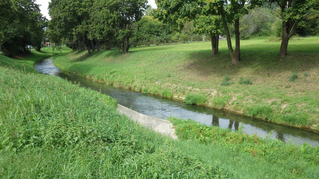 Die Pfinz in Berghausen Die Pfinz in Berghausen. Das Gewässerbett der Pfinz ist von grasbewachsenen Böschungen begrenzt. Auf den Böschungen stehen abschnittsweise Bäume. Die Pfinz fließt gleichmäßig in ihrem immer gleich breiten Gewässerbett.
