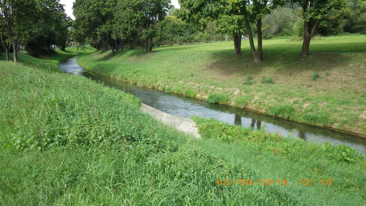 Die Pfinz in Berghausen. Das Gewässerbett der Pfinz ist von grasbewachsenen Böschungen begrenzt. Auf den Böschungen stehen abschnittsweise Bäume. Die Pfinz fließt gleichmäßig in ihrem immer gleich breiten Gewässerbett.