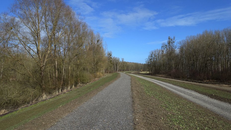 Fertiggestellter Rheindammabschnitt im Bereich Dettenheim