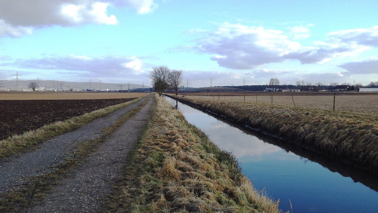 Bereich Feldwegbrücke - Blick gegen die Fließrichtigung des Landgrabens