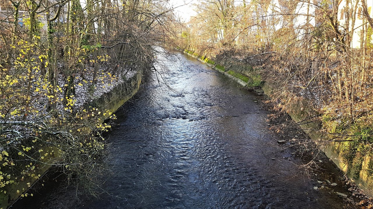 Das Foto zeigt den betroffenen Abschnitt mit beiden Uferböschungen. 