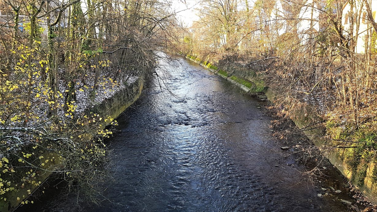 Das Foto zeigt den betroffenen Abschnitt mit beiden Uferböschungen. 