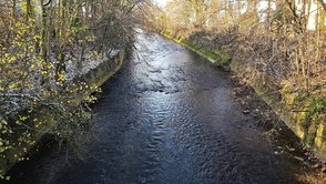 Das Foto zeigt den betroffenen Abschnitt mit beiden Uferböschungen. 