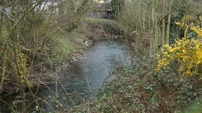 Sanierung der Böschungen Pfinz in Söllingen