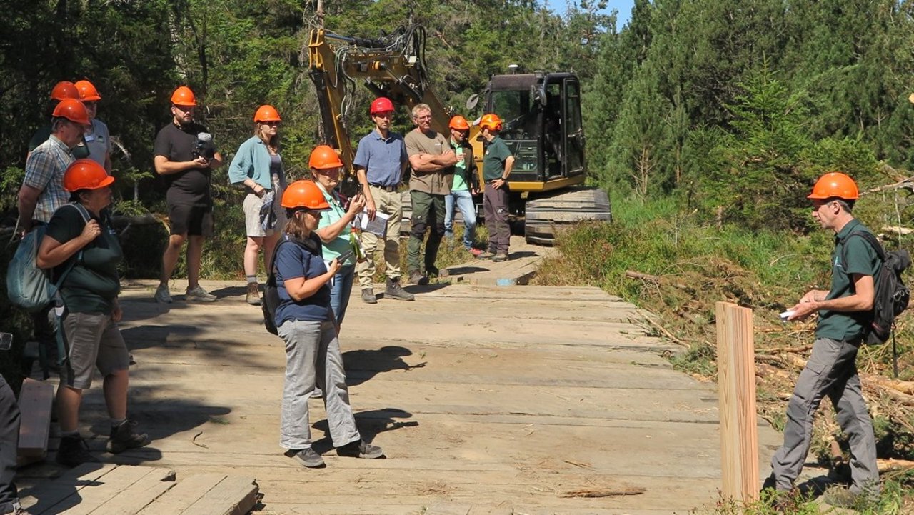 Aktuelle Baustelle im Hohlohmoor: die Entfernung des Gehölzes kann nur durch eine Fachfirma durchgeführt werden. 