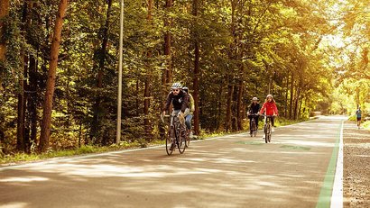 Radweg durch den Wald Mehrere Radfahrer auf einem Radweg