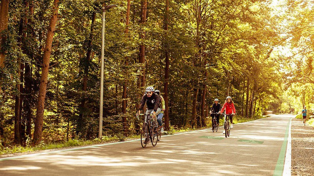 Radweg durch den Wald Mehrere Radfahrer auf einem Radweg